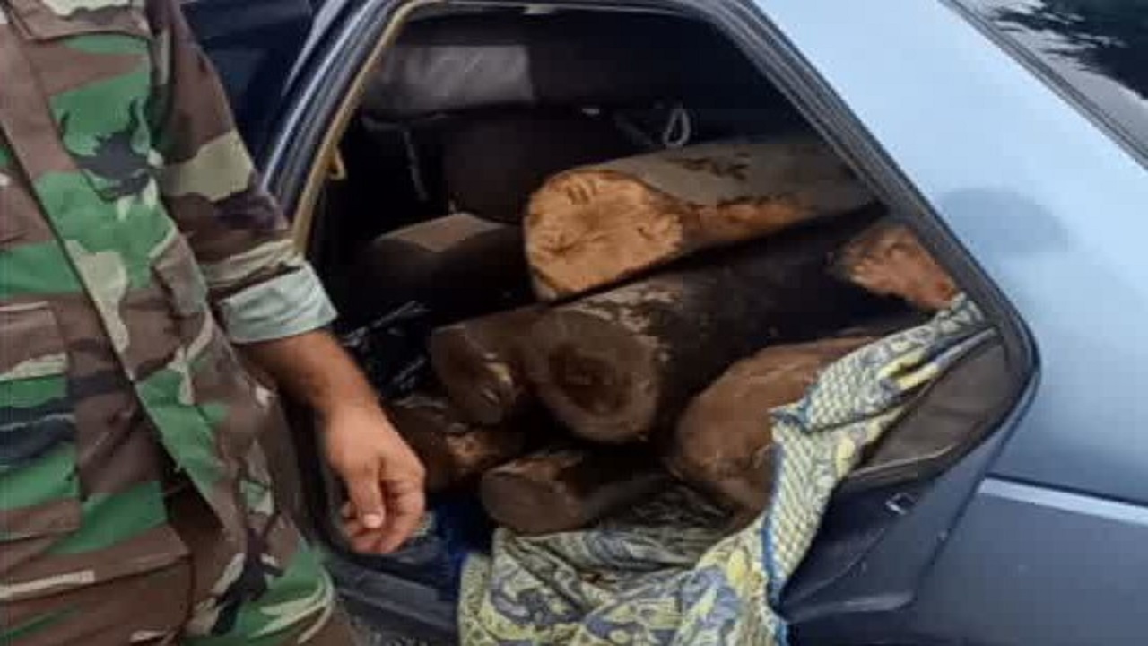 قاچاق چوب با پژو در رودبار