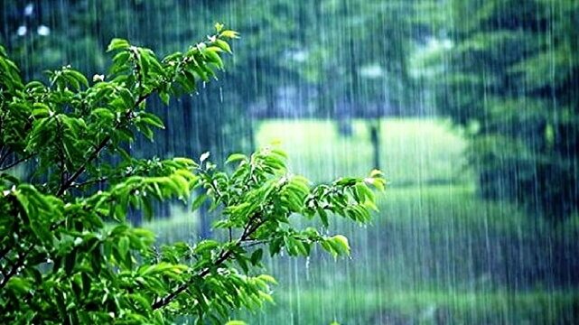 کاهش ۱۲ درجه‌ای دمای هوای گیلان