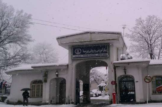 مراجعه بیش از ۵۰۰‌ بیمار به پورسینا در روزهای بحرانی استان گیلان