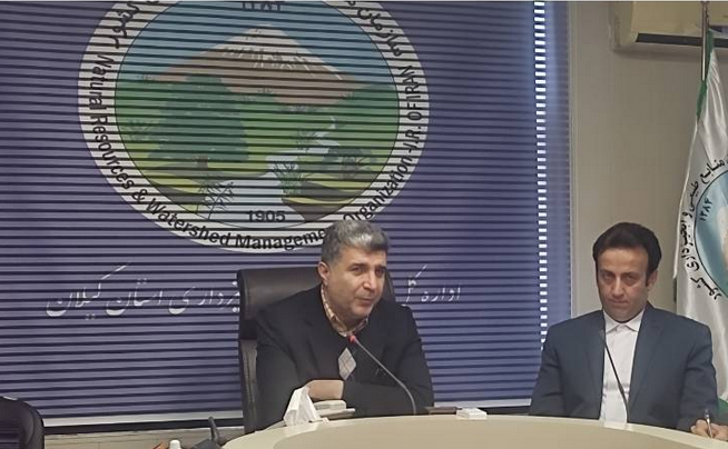 جایگاه نخست گیلان درتولید چوب صنوبر از لحاظ حجمی در کشور
